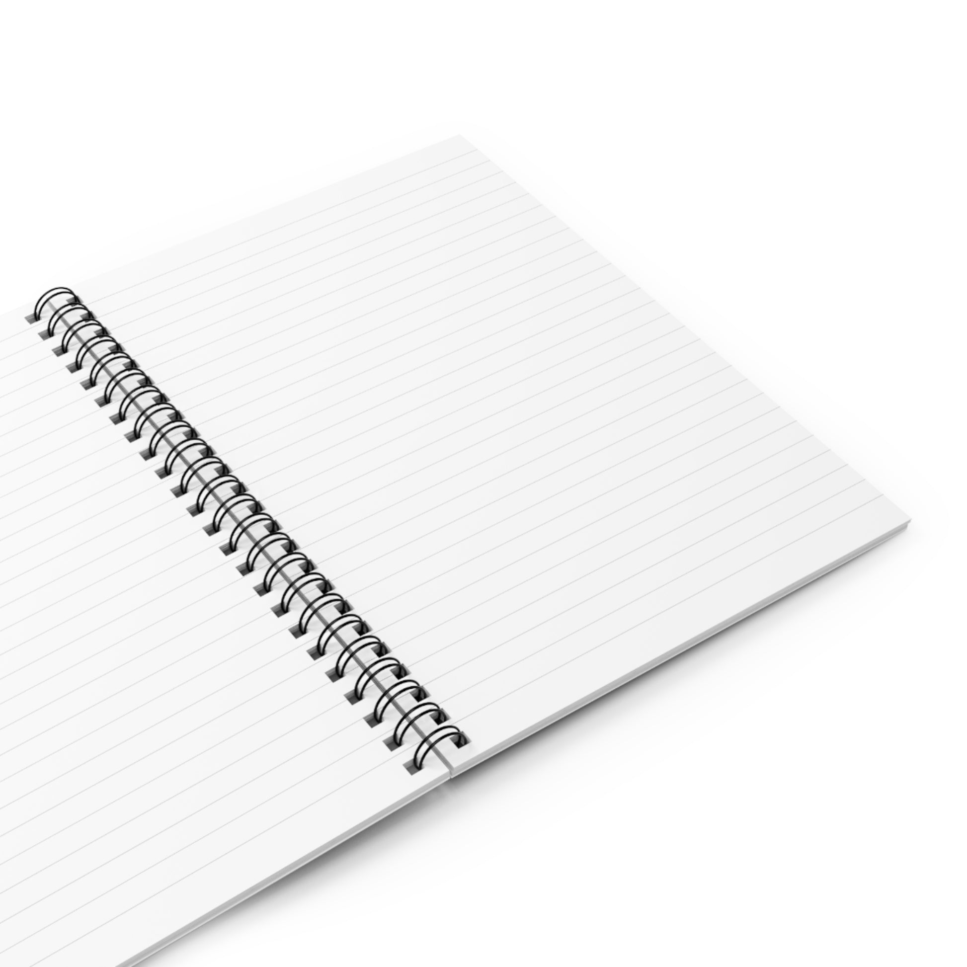 Professor Mothman spiral notebook, 6x8 journal with cryptid design – Southern Cryptid Co.